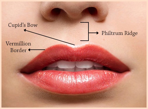 Lip fillers and enhancement